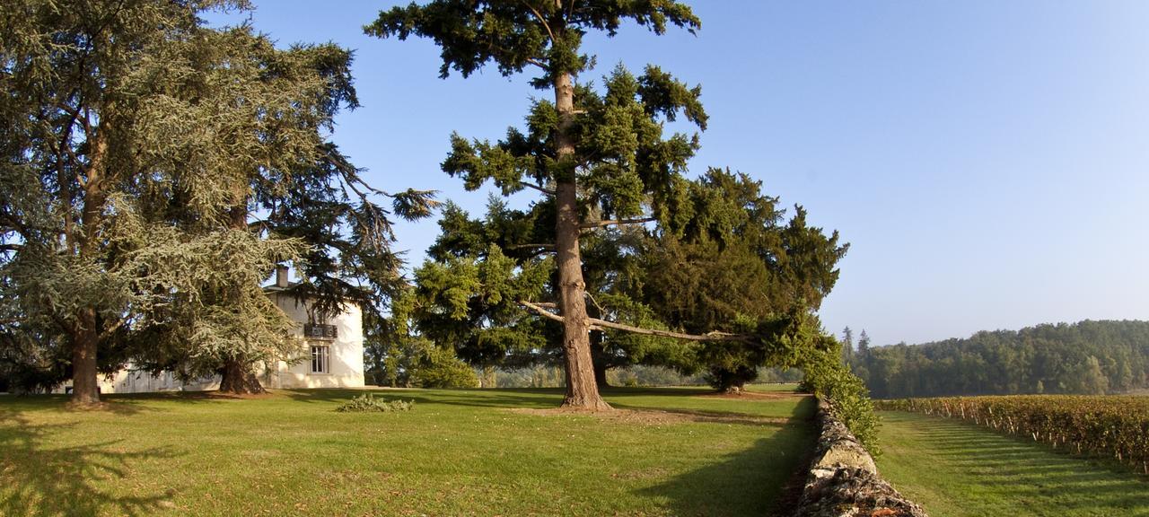 Pey La Tour - Logis Hotels & Restaurant Salleboeuf Eksteriør bilde